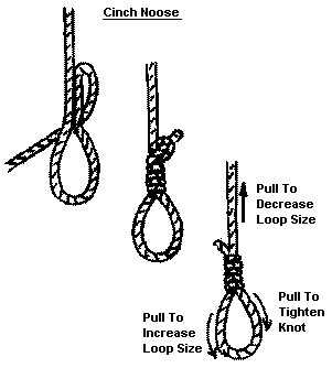 Tying the cinch noose