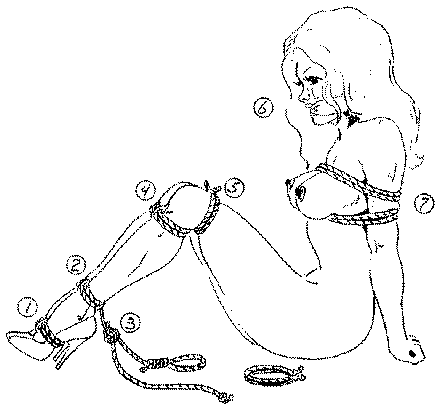 Super Hog Tie